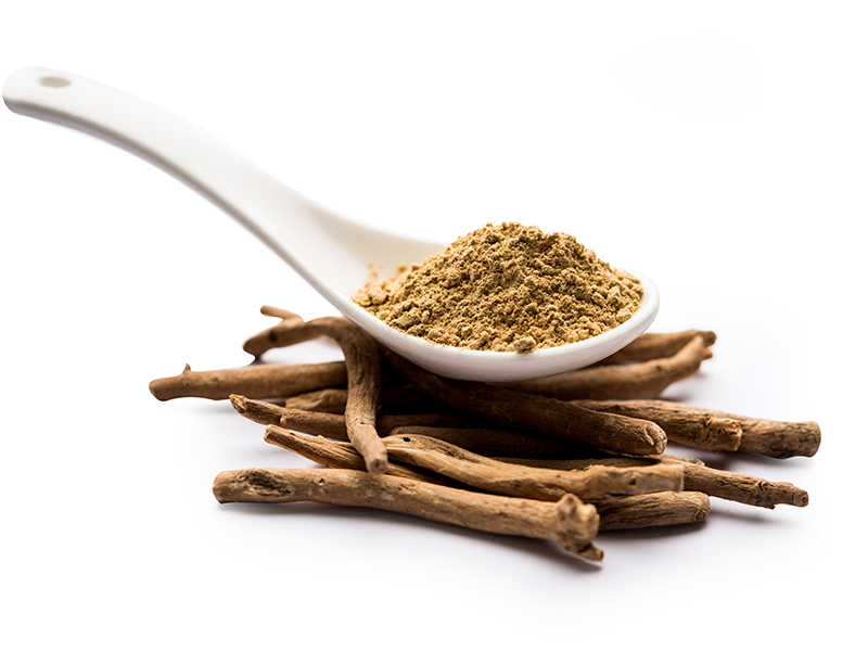 Ashwagandha or Aswaganda OR Indian Ginseng is an Ayurveda medicine in stem and powder form. Isolated on plain background. selective focus