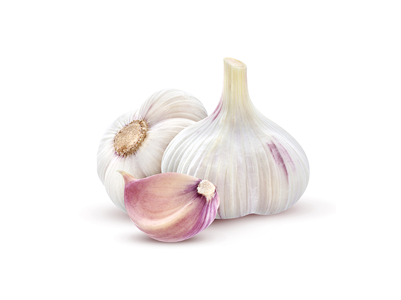 Garlic on white background