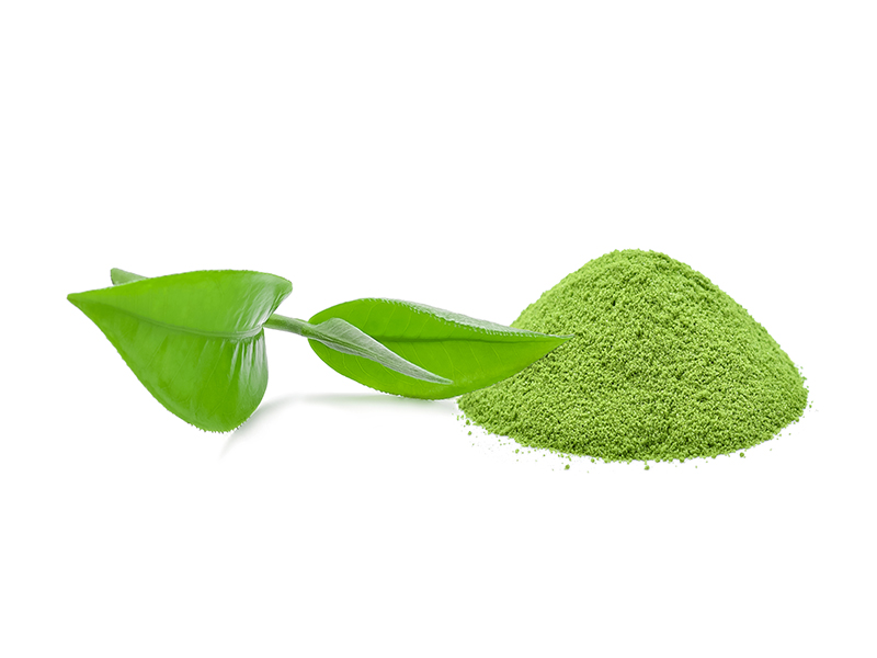 powder green tea with green tea leaf